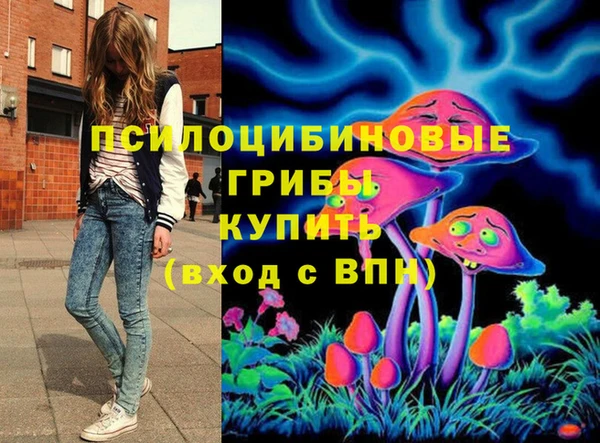 круглые Аркадак