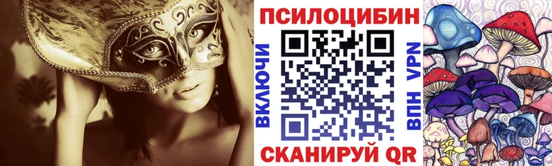 МЕГА ONION  Дмитров  Галлюциногенные грибы GOLDEN TEACHER 